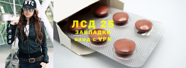 mdpv Елизово