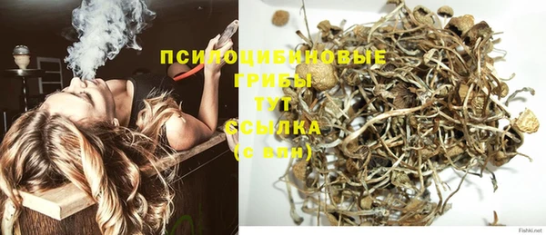 ГАЛЛЮЦИНОГЕННЫЕ ГРИБЫ Елабуга