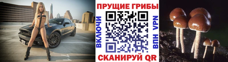 Галлюциногенные грибы ЛСД  где купить наркоту  Дегтярск 